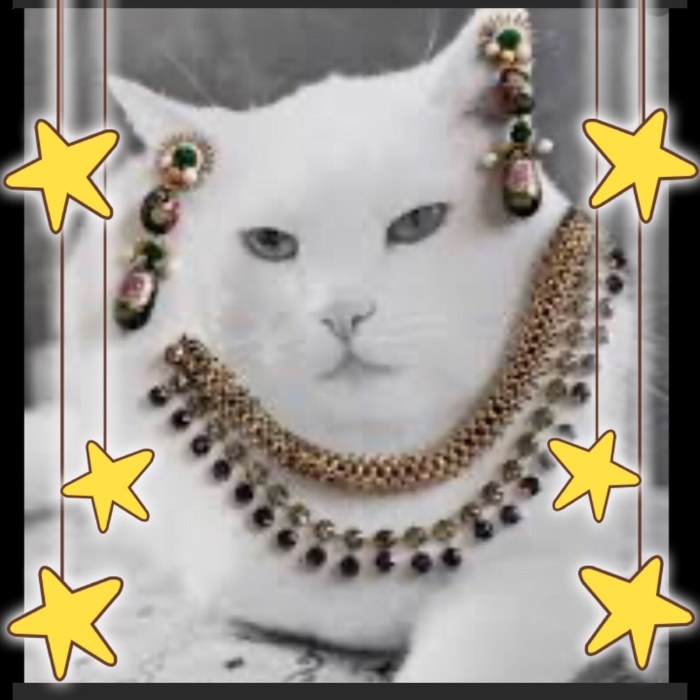 Cosmetic Jewelry for sale